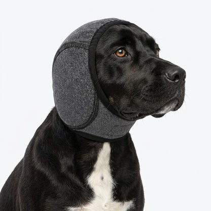 Hundekopfhörer mit Geräuschunterdrückung
